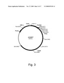 Methods for degrading or converting plant cell wall polysaccharides diagram and image