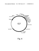 Methods for degrading or converting plant cell wall polysaccharides diagram and image