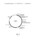 Methods for degrading or converting plant cell wall polysaccharides diagram and image