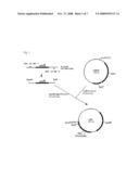 SUCCINIC ACID-PRODUCING BACTERIUM AND PROCESS FOR PRODUCING SUCCINIC ACID diagram and image