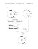 SUCCINIC ACID-PRODUCING BACTERIUM AND PROCESS FOR PRODUCING SUCCINIC ACID diagram and image