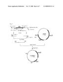 SUCCINIC ACID-PRODUCING BACTERIUM AND PROCESS FOR PRODUCING SUCCINIC ACID diagram and image