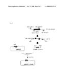 SUCCINIC ACID-PRODUCING BACTERIUM AND PROCESS FOR PRODUCING SUCCINIC ACID diagram and image