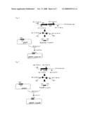 SUCCINIC ACID-PRODUCING BACTERIUM AND PROCESS FOR PRODUCING SUCCINIC ACID diagram and image