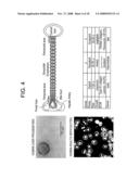 Textiles for use in bioreactors for expansion and maintenance of cells diagram and image
