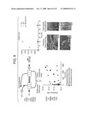 Textiles for use in bioreactors for expansion and maintenance of cells diagram and image