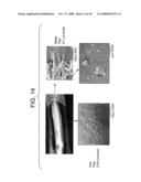 Textiles for use in bioreactors for expansion and maintenance of cells diagram and image