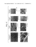 Textiles for use in bioreactors for expansion and maintenance of cells diagram and image