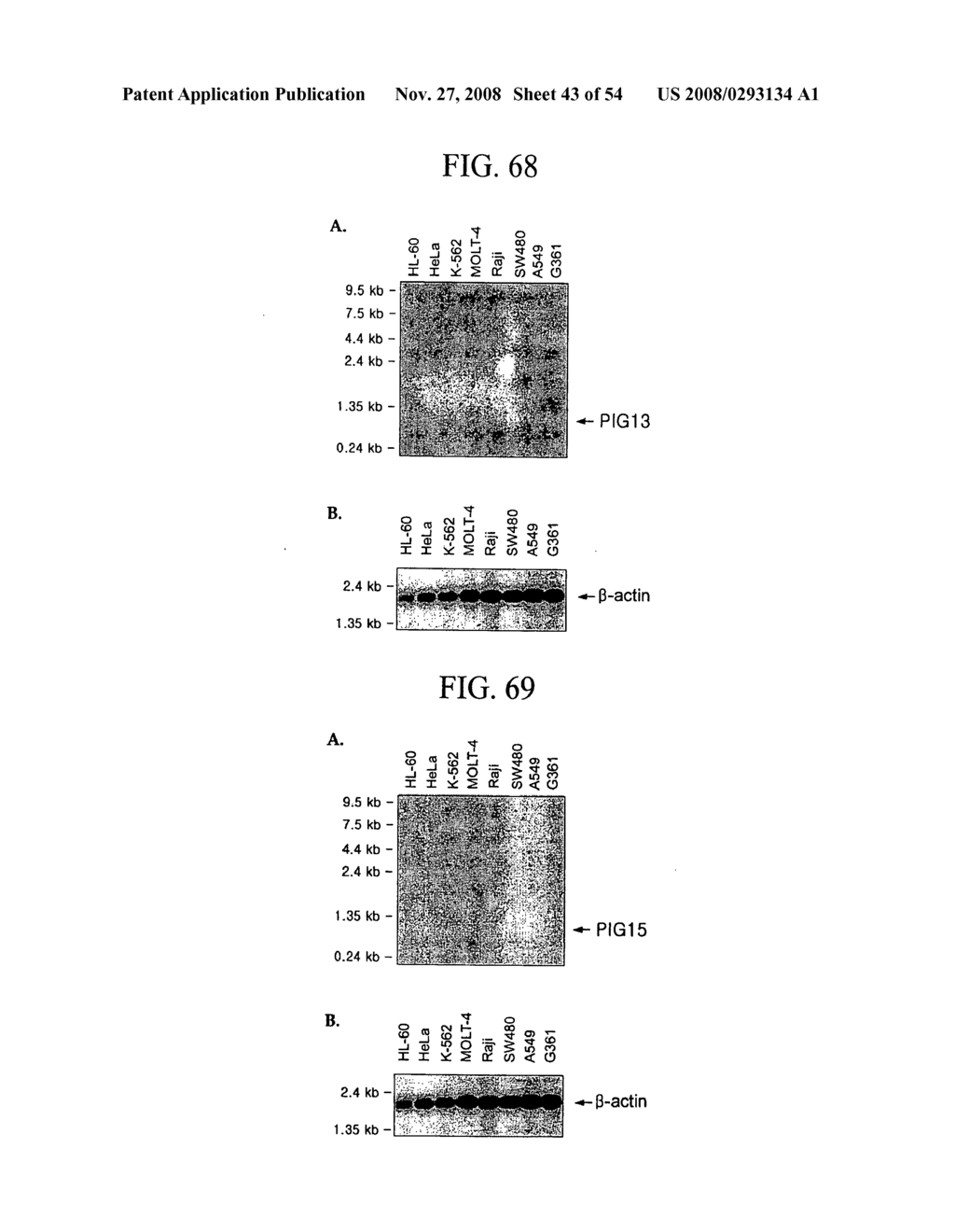 Human Cancer Suppressor Gene, Protein Encoded Therein, Expression Vector Containing Same - diagram, schematic, and image 44