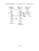 Generation of human embryonc stem-like cells using intronic RNA diagram and image