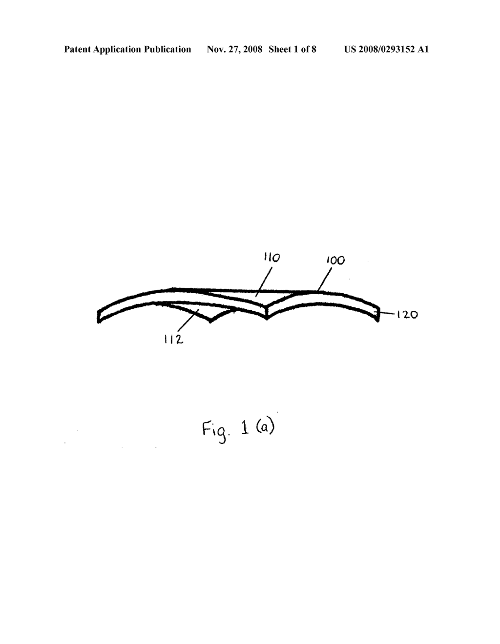 NANOMEMBRANES FOR REMOTE SENSING - diagram, schematic, and image 02