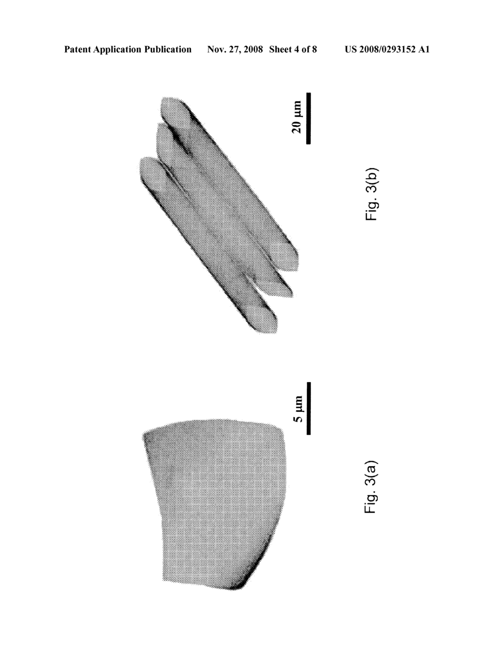 NANOMEMBRANES FOR REMOTE SENSING - diagram, schematic, and image 05