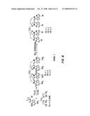 SALICYLAMIDE-LANTHANIDE COMPLEXES FOR USE AS LUMINESCENT MARKERS diagram and image