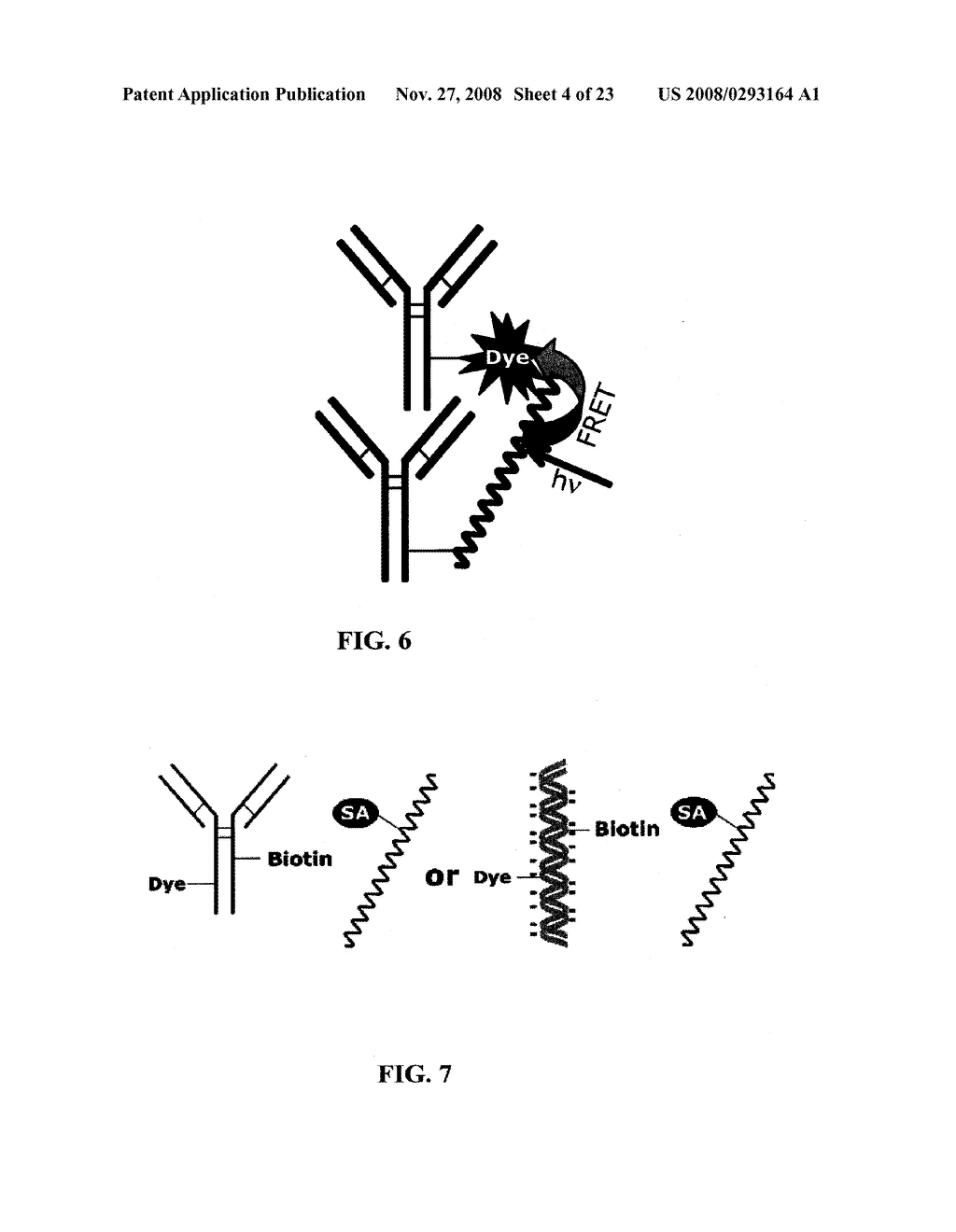 Fluorescent Methods and Materials for Directed Biomarker Signal Amplification - diagram, schematic, and image 05