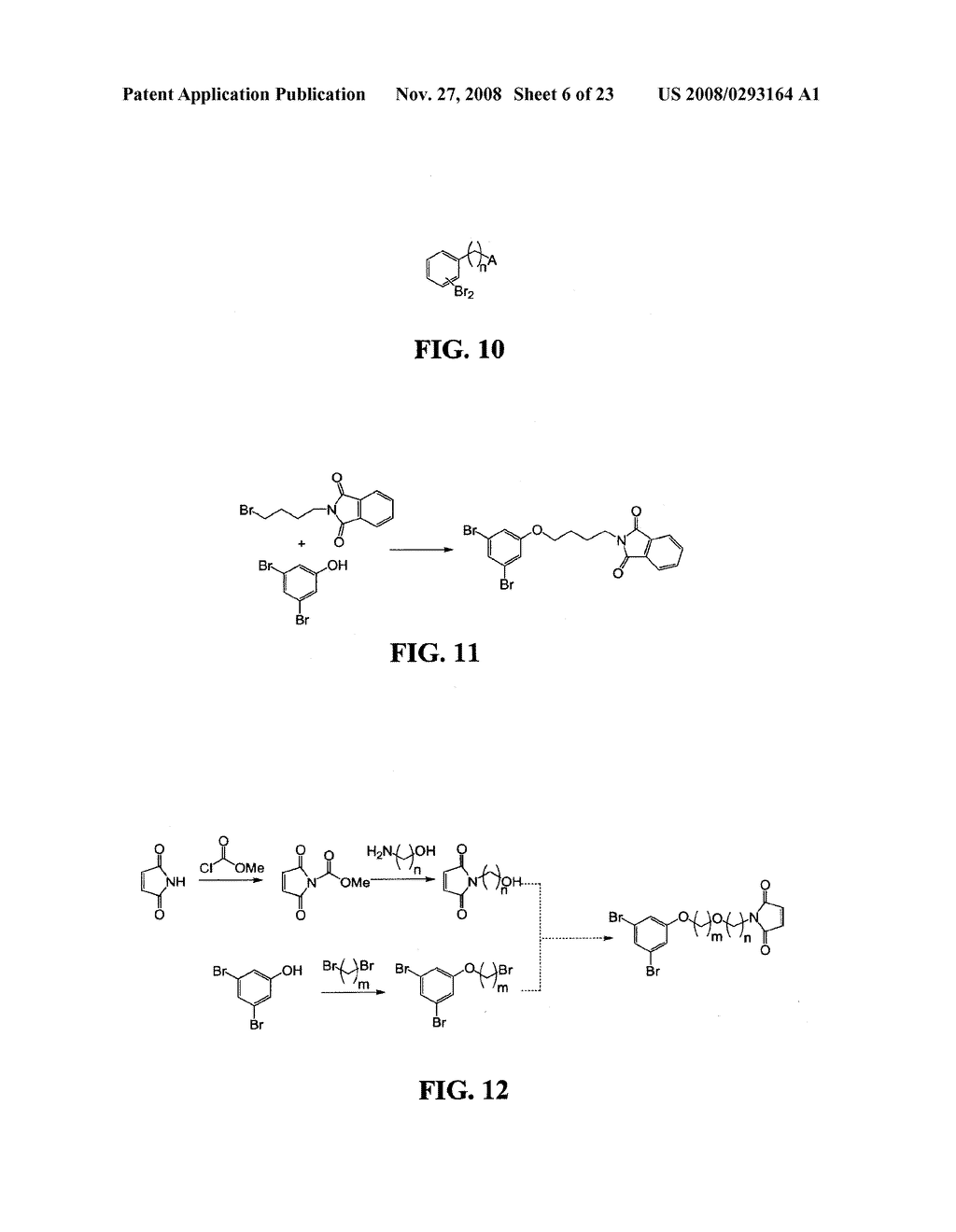 Fluorescent Methods and Materials for Directed Biomarker Signal Amplification - diagram, schematic, and image 07