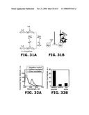Fluorescent Methods and Materials for Directed Biomarker Signal Amplification diagram and image
