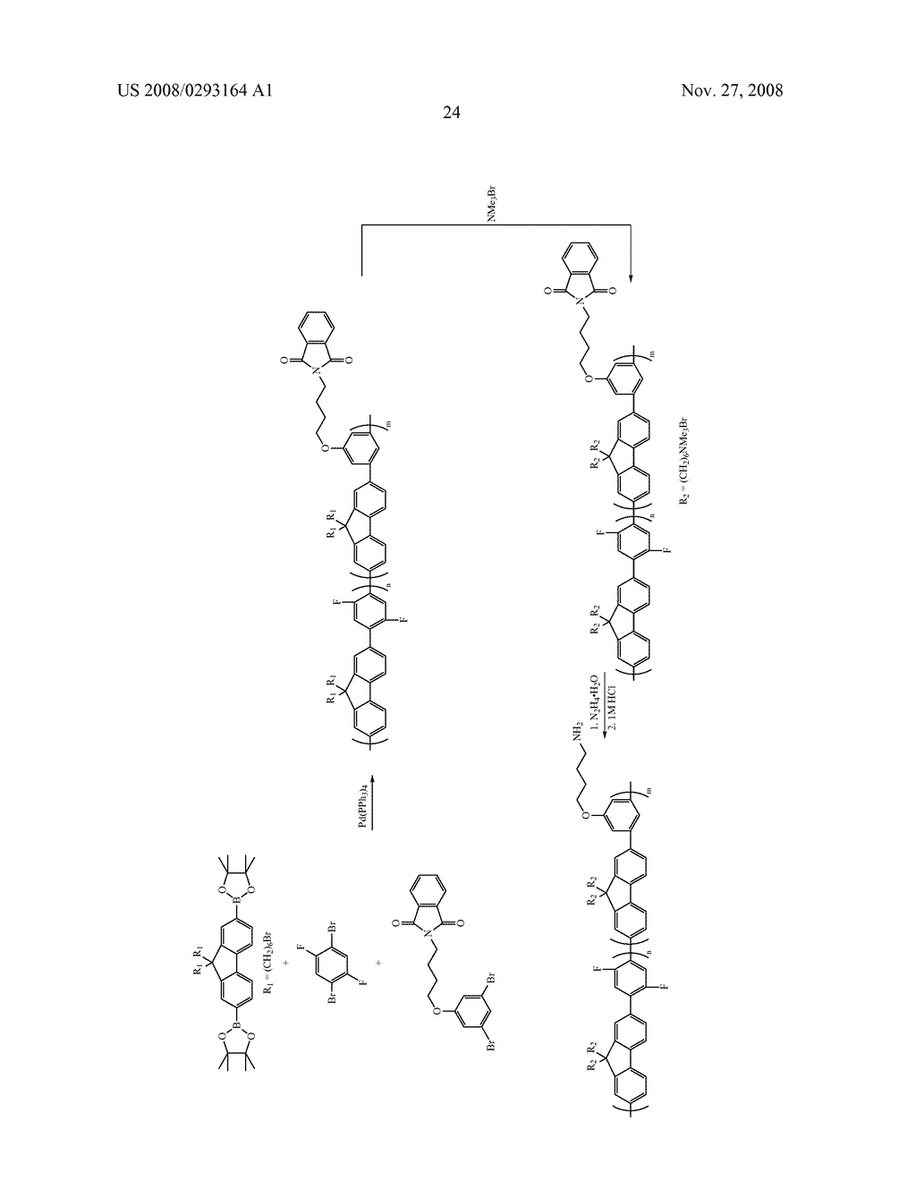 Fluorescent Methods and Materials for Directed Biomarker Signal Amplification - diagram, schematic, and image 48