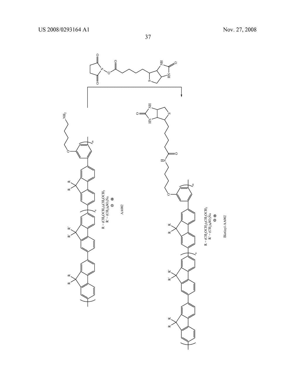 Fluorescent Methods and Materials for Directed Biomarker Signal Amplification - diagram, schematic, and image 61