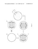 Methods of Positioning and/or Orienting Nanostructures diagram and image