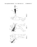 DISC LAUNCHING AND CATCHING DEVICE diagram and image