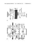 Rna Expression Microarrays diagram and image