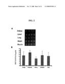 Rna Expression Microarrays diagram and image