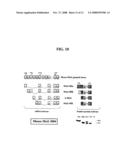 Rna Expression Microarrays diagram and image