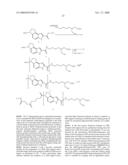 FLUORESCENT PROBES FOR DNA DETECTION BY HYBRIDIZATION WITH IMPROVED SENSITIVITY AND LOW BACKGROUND diagram and image