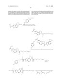 FLUORESCENT PROBES FOR DNA DETECTION BY HYBRIDIZATION WITH IMPROVED SENSITIVITY AND LOW BACKGROUND diagram and image