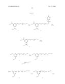 FLUORESCENT PROBES FOR DNA DETECTION BY HYBRIDIZATION WITH IMPROVED SENSITIVITY AND LOW BACKGROUND diagram and image