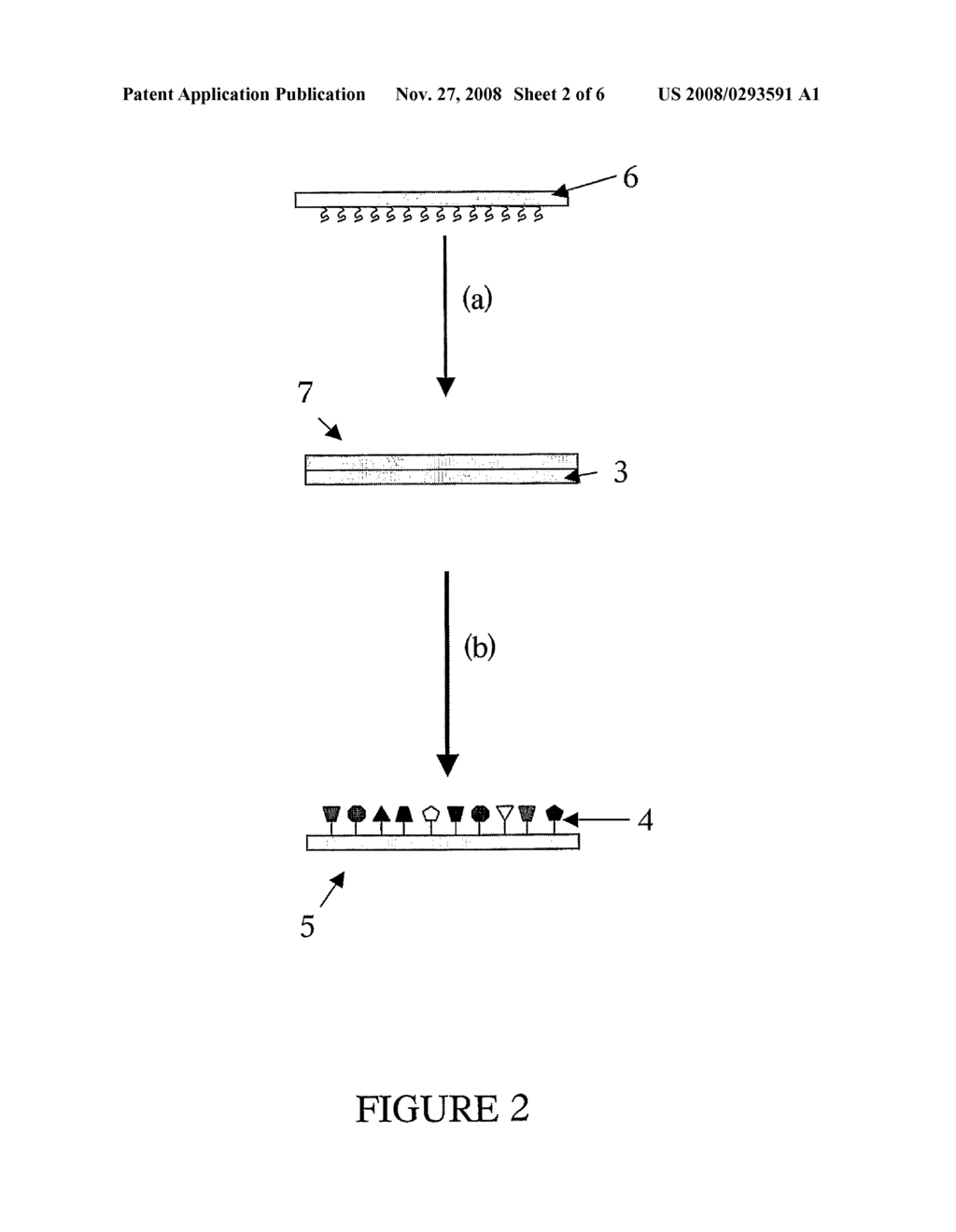 Repeatable Protein Arrays - diagram, schematic, and image 03