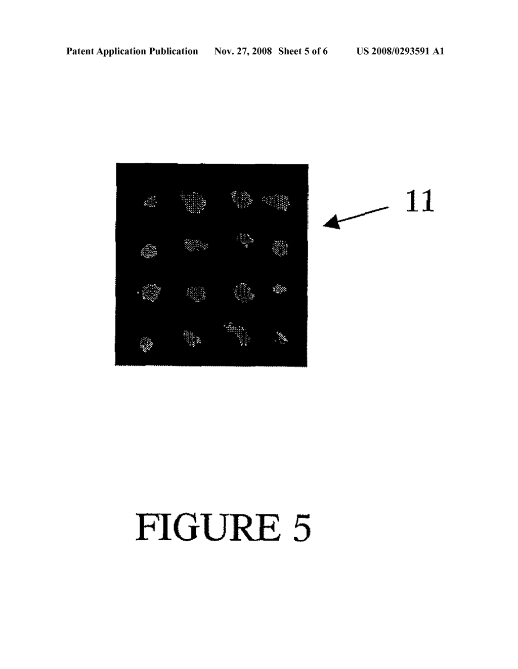 Repeatable Protein Arrays - diagram, schematic, and image 06