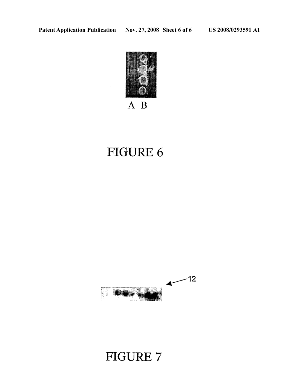 Repeatable Protein Arrays - diagram, schematic, and image 07