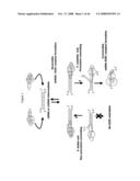 siRNA targeting casitas B cell lymphoma-B (CBL-B) diagram and image