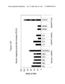 siRNA targeting casitas B cell lymphoma-B (CBL-B) diagram and image