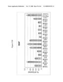 siRNA targeting casitas B cell lymphoma-B (CBL-B) diagram and image