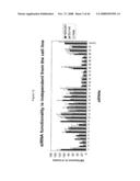 siRNA targeting protein tyrosine phosphatase-1B (PTP1B) diagram and image