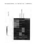 siRNA targeting protein tyrosine phosphatase-1B (PTP1B) diagram and image