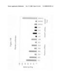 siRNA targeting protein tyrosine phosphatase-1B (PTP1B) diagram and image