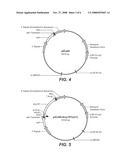 Alkaliphilic Bacillus Species alpha-Amylase Variants, Compositions Comprising alpha-Amylase Variants, And Methods of Use diagram and image