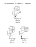 COMPOSITIONS AND METHODS FOR TREATING MALARIA WITH CUPREDOXIN AND CYTOCHROME diagram and image