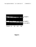 Treatment for Autoimmune and Inflammatory Conditions diagram and image