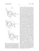 MACROLIDES diagram and image