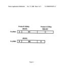 FC gamma RIIA-specific nucleic acid interference diagram and image