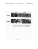 FC gamma RIIA-specific nucleic acid interference diagram and image