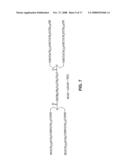 CHEMICALLY-DEFINED NON-POLYMERIC VALENCY PLATFORM MOLECULES AND CONJUGATES THEREOF diagram and image