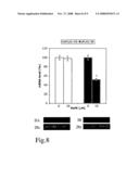 Lipid conjugates in the treatment of disease diagram and image