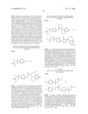 ION CHANNEL MODULATORS AND METHODS OF USE diagram and image