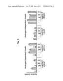 SMALL-MOLECULE INHIBITORS OF THE ANDROGEN RECEPTOR diagram and image