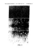 Use of 2,5-Dihydroxybenzenesulphonic Acid in the Production of Medicaments for the Treatment of Angiodependent Diseases Such as Cancer and Psoriasis diagram and image